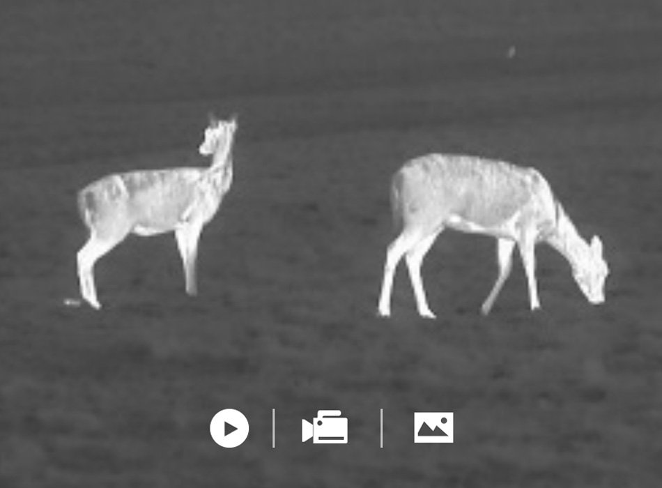 Lynx-S-Imagen-06-PC