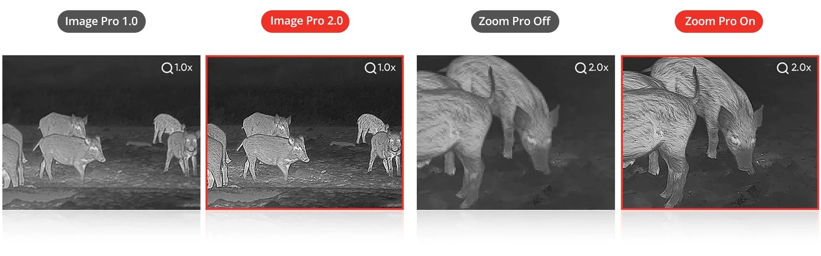HIKMICRO Condor — Image Pro e Zoom Pro