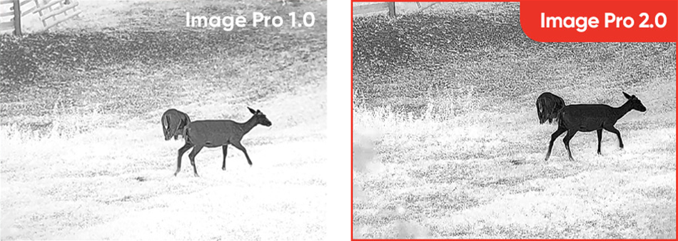 HIKMICRO FALCON — Image Pro 2.0