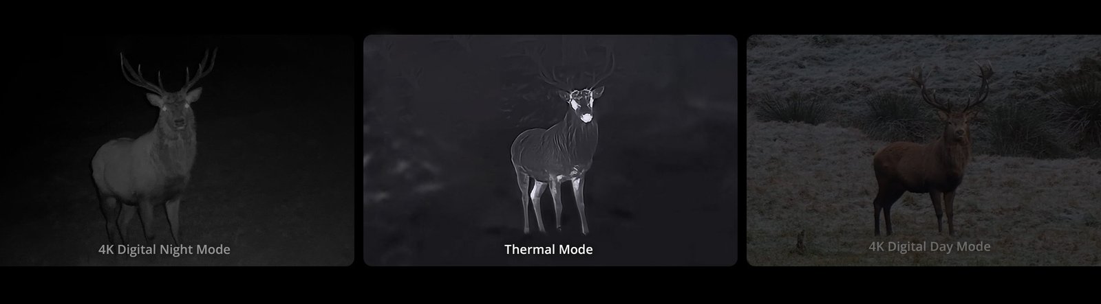 Habrok 4K 2.0 — canal térmico