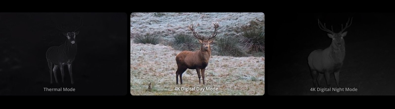 Habrok 4K 2.0 — canal digital 4K de dia