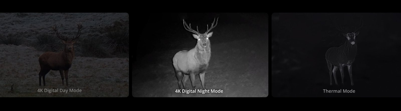 Habrok 4K 2.0 — canal digital 4K à noite