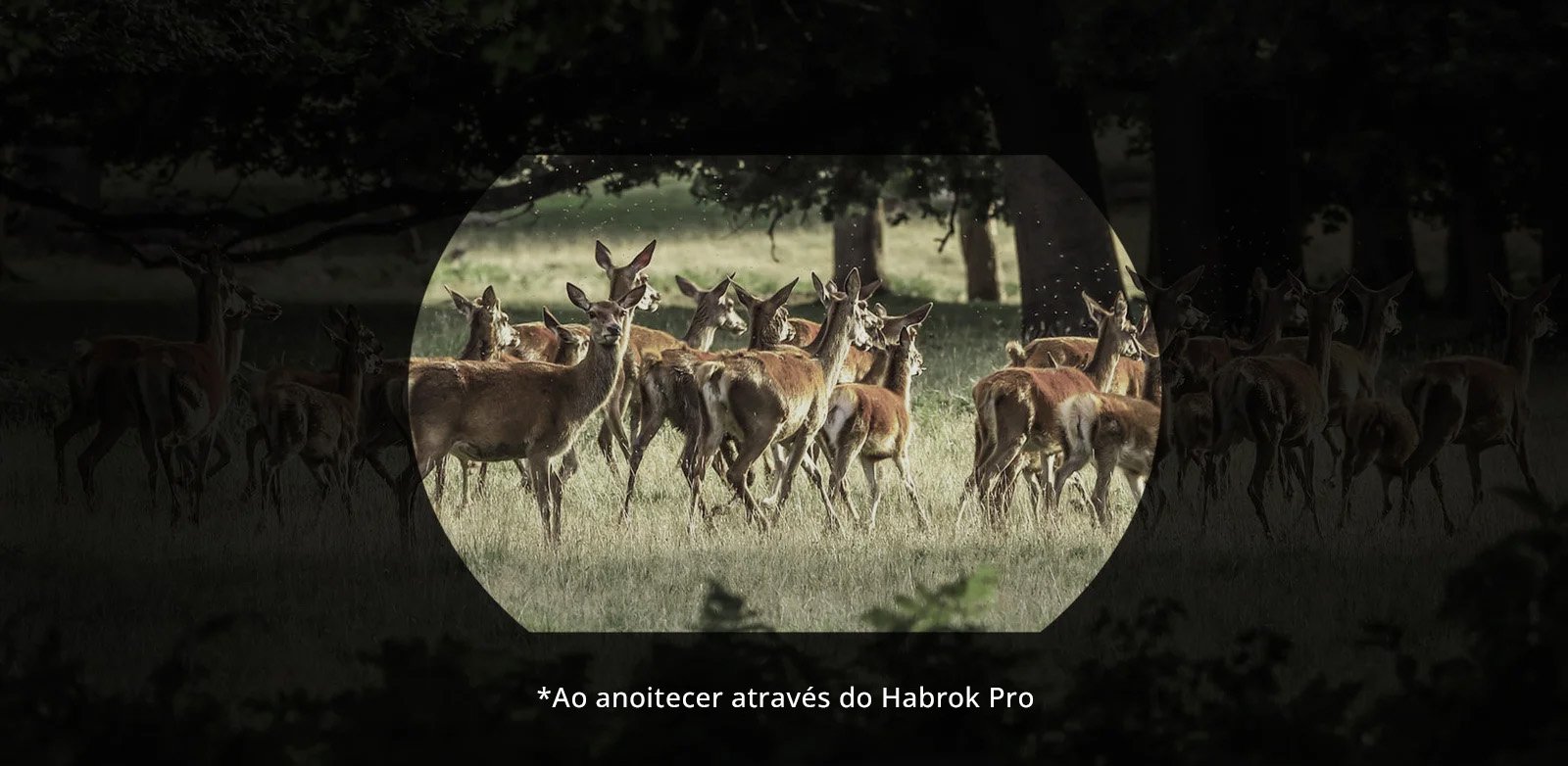 HIKMICRO Habrok Pro — detector Full Color 4K UHD