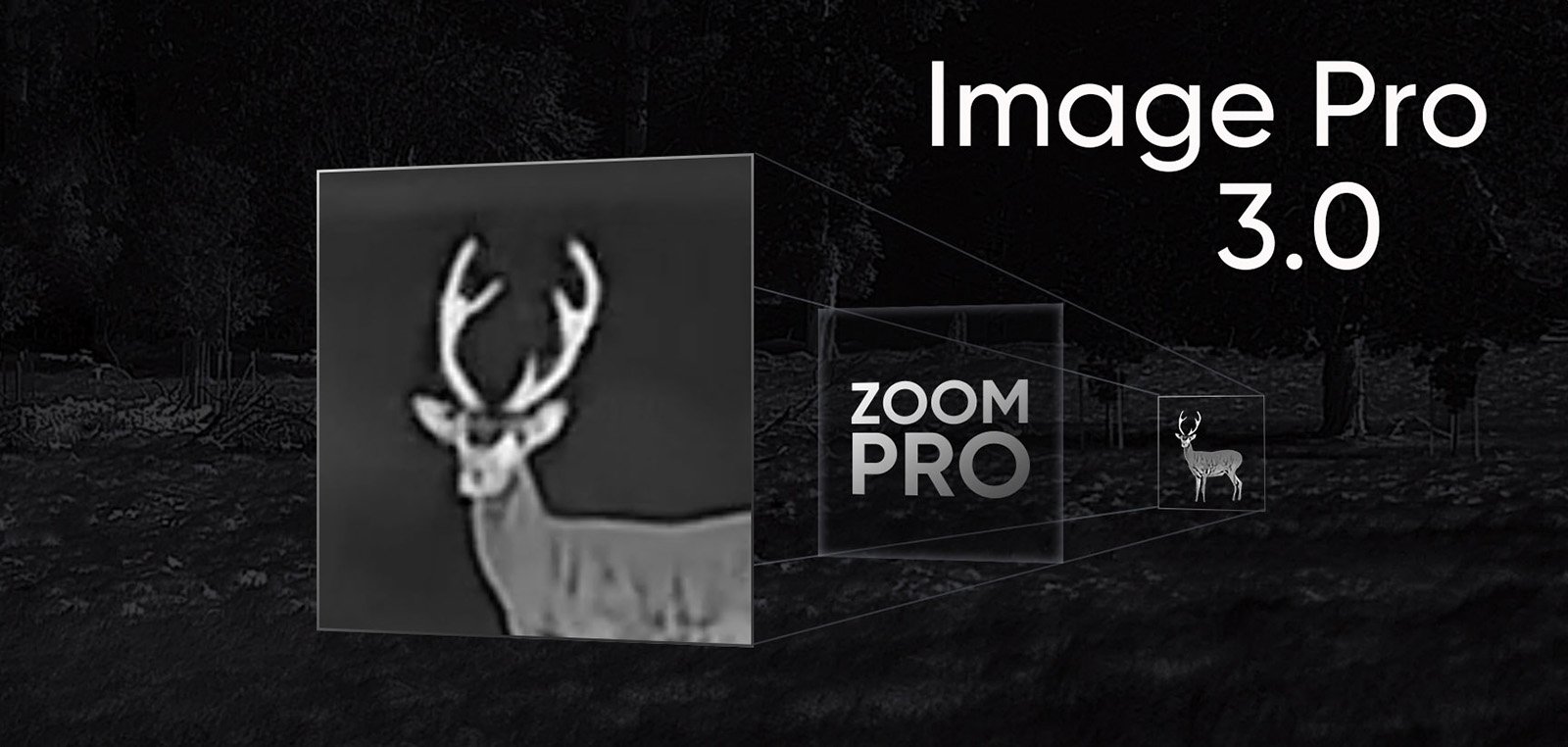 HIKMICRO LYNX 3.0 — Image Pro 3.0 e Zoom Pro