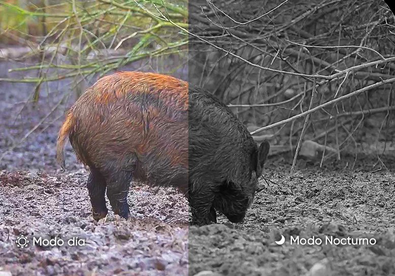 HIKMICRO Alpex 4K Lite — modos de 50 e 100 fps