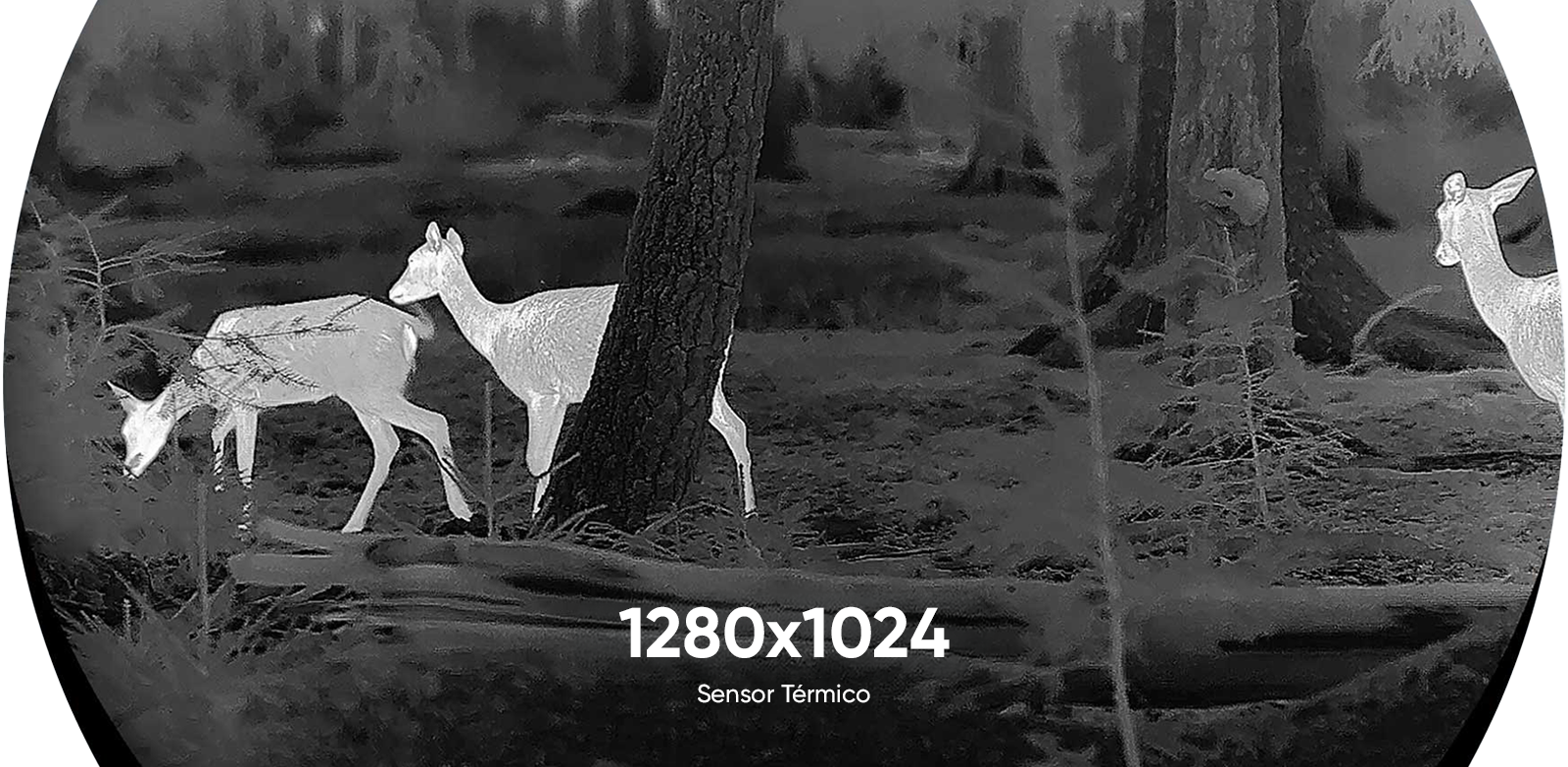 HIKMICRO Stellar 3.0 — detectores de 384, 640 e 1280
